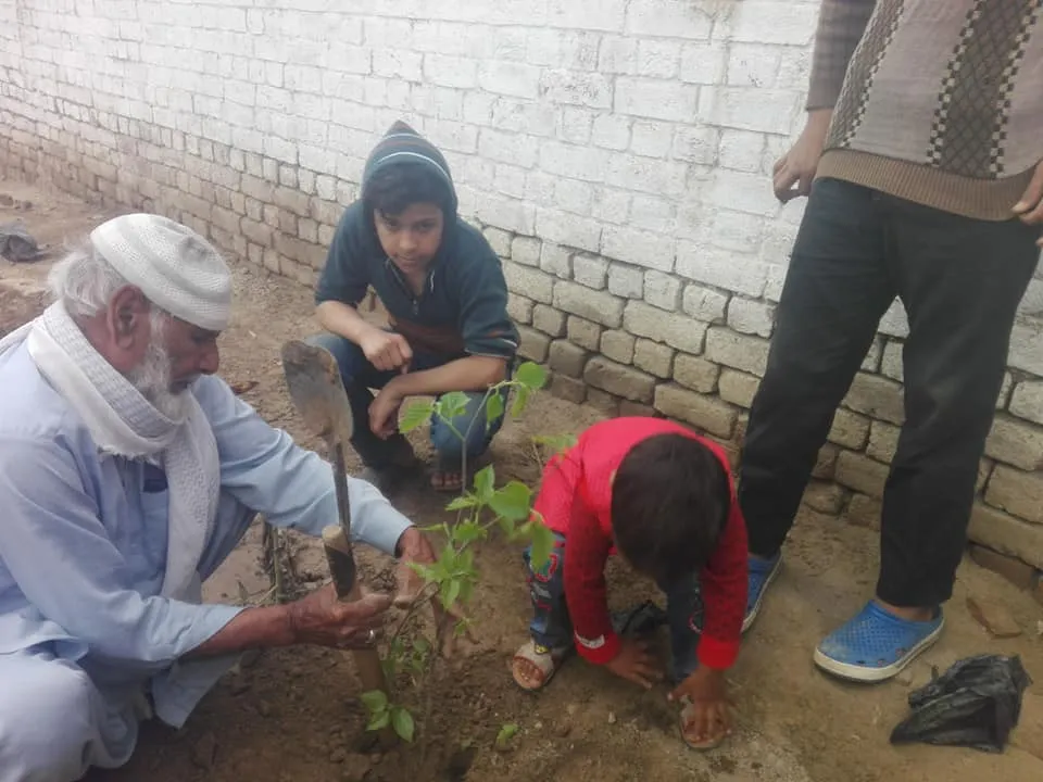 Green Seekers Activity